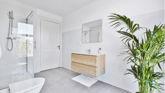 Plantas para a casa de banho sem luz e com humidade: As melhores opções para espaços escuros.